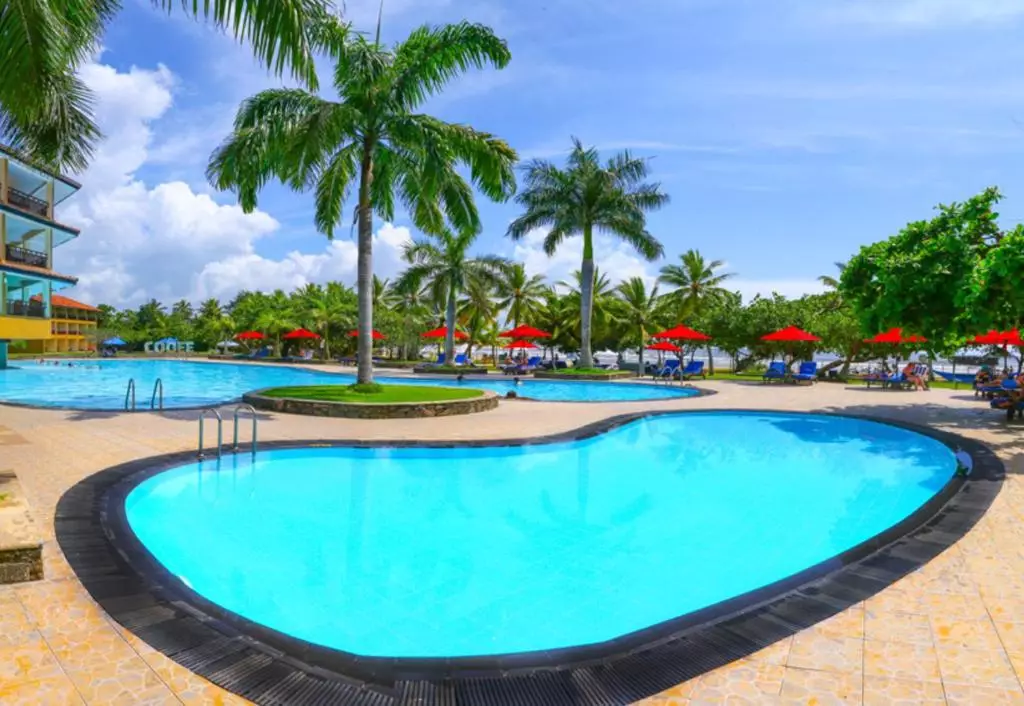 The Palms